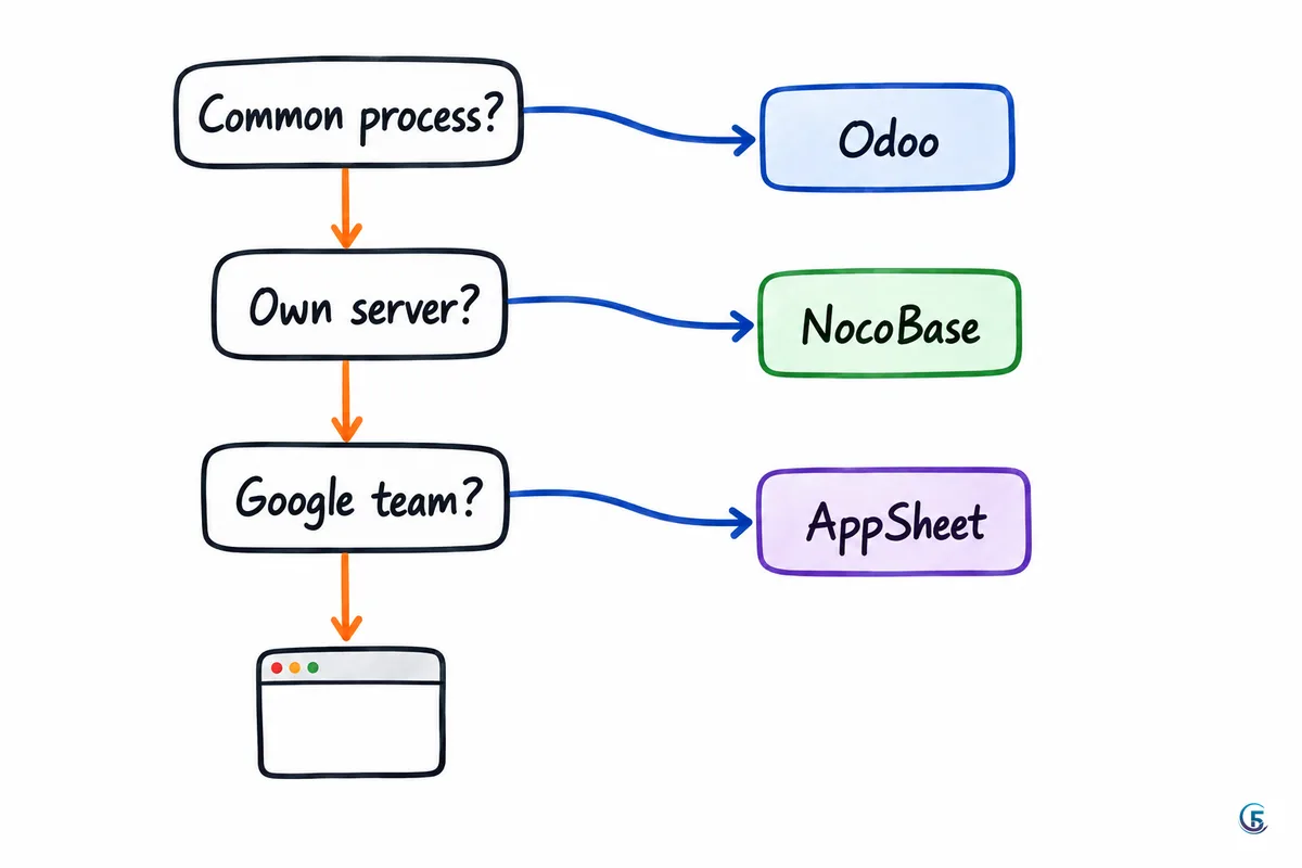 Cây quyết định chọn giữa ERP, NocoBase, AppSheet và web app